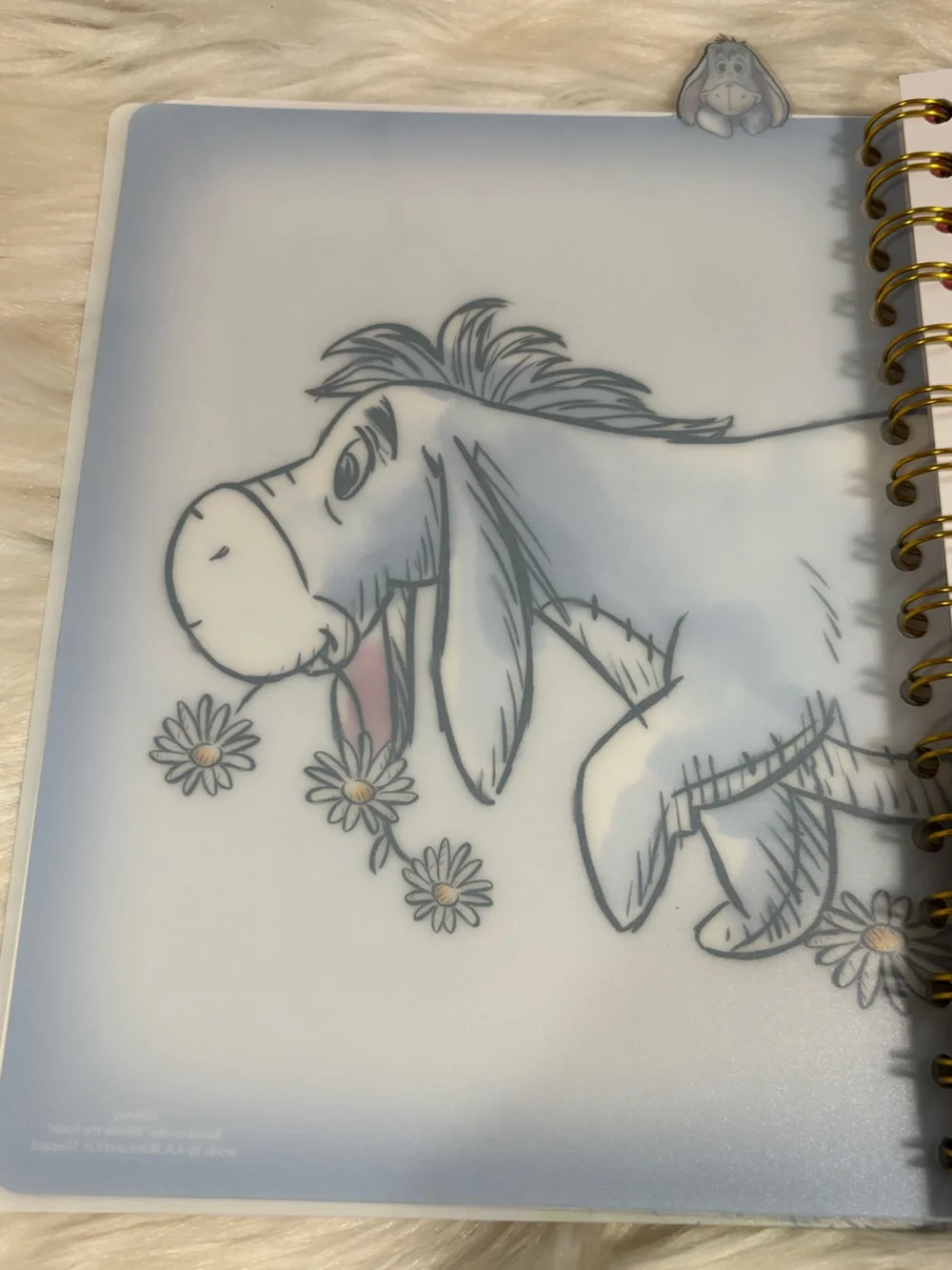 Disney winnie pooh
